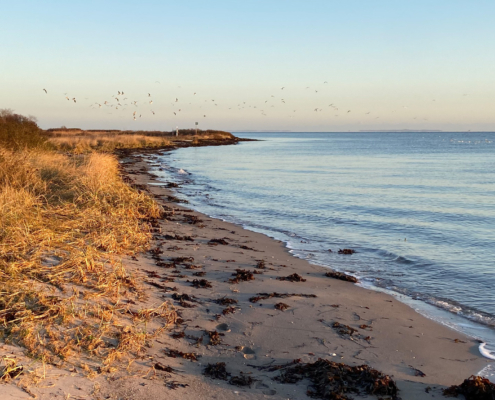 Stranden-ved-Hou-CoachingByBoes
